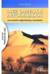 DIEZ CAMELLOS ARRODILLADOS