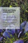 DISE&curren;O LINDO Y QUERIDO