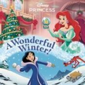 Portada de A Wonderful Winter! (Disney Princess)