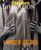 Portada de DIVINATION (Ebook)