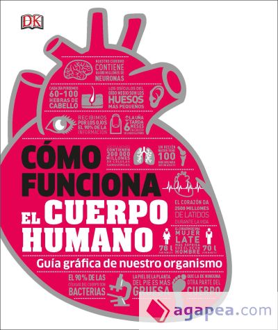 CÓMO FUNCIONA EL CUERPO HUMANO