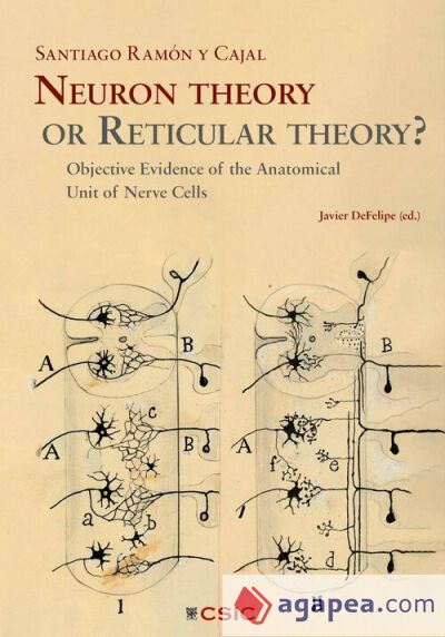 NEURON THEORY OR RETICULAR THEORY? NEURON THEORY OR RETICULAR THEORY?