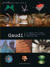 DVD Gaud&iacute;