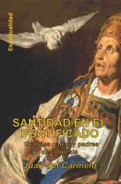 Portada de Santidad en el Pontificado