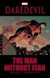 Daredevil Man Without Fear