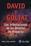 David y Goliat. Las tribulaciones de un director de proyecto.