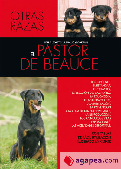 El pastor de beauce