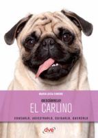 Portada de ¡Descúbrelo! El Carlino (Ebook)