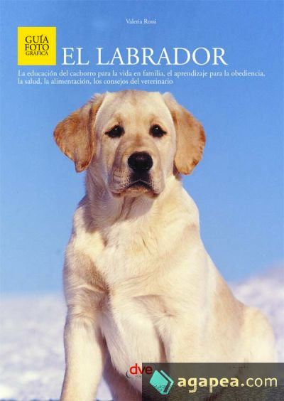 El Labrador