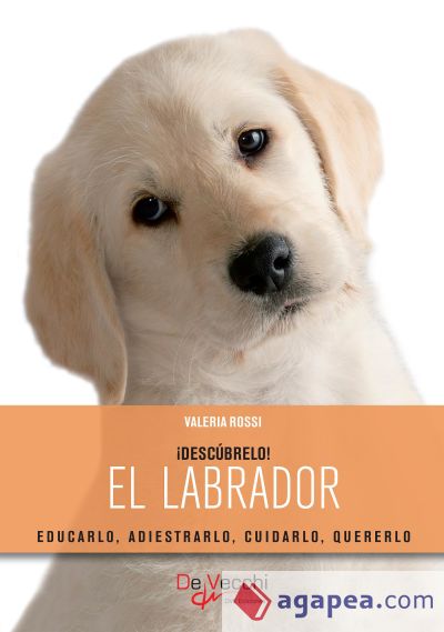 El labrador (Ebook)