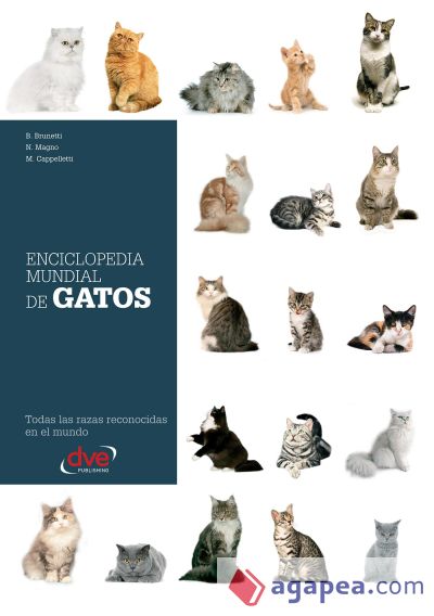 Enciclopedia mundial de gatos (Ebook)
