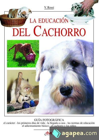 La educaci&oacute;n del cachorro