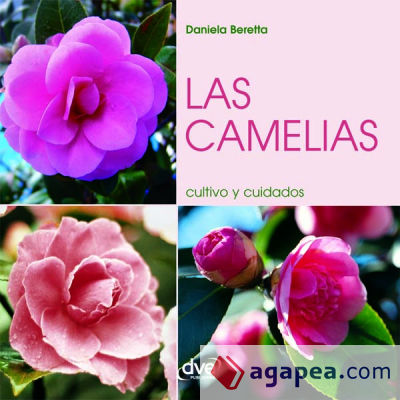 Las camelias