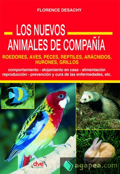 Los Nuevos Animales de Compañía