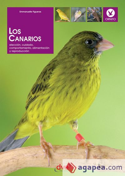 Los canarios. Elección, cuidado, comportamiento, alimentación y reproducción (Ebook)