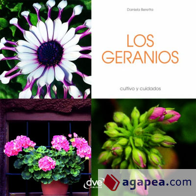 Los geranios