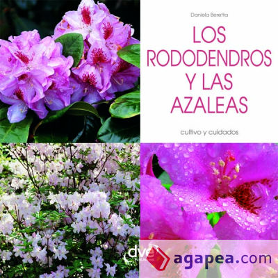 Los rododendros y las Azaleas