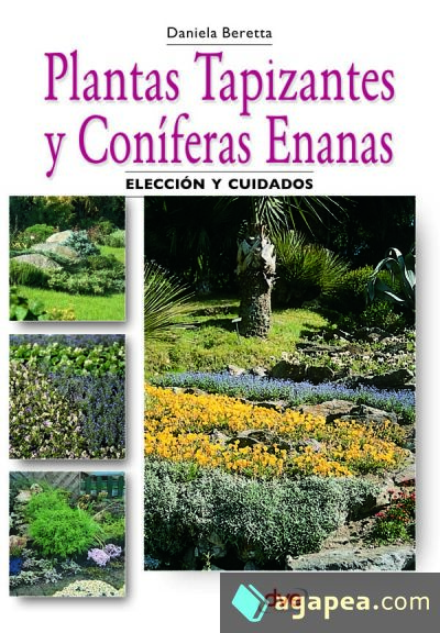 Plantas tapizantes y coníferas enanas