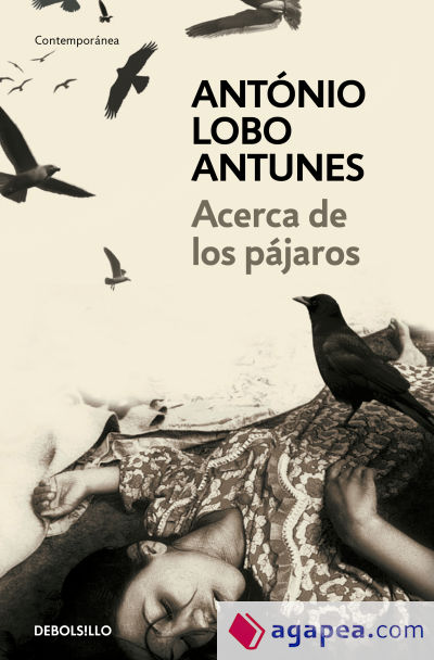 Acerca de los pájaros