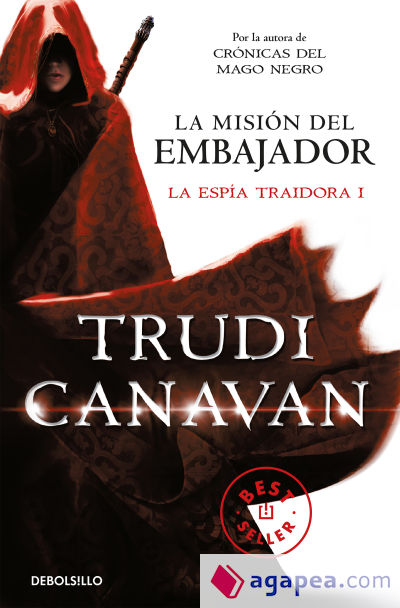 La misión del embajador