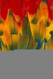 Portada de La soluci&oacute;n final