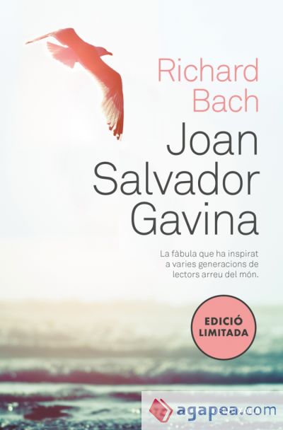 Joan Salvador Gavina