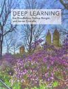 Deep Learning