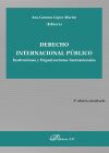 Derecho Internacional P&uacute;blico. Instituciones y Organizaciones Internacionales