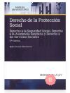 Derecho de la protecci&oacute;n social
