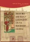 Derecho, Eficacia Y Garantías En La Sociedad Global.: Liber Amicorum I En Honor De María Del Carmen Calvo Sánchez