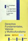 Derechos fundamentales, valores y multiculturalismo