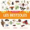 Descobreixo les bestioles i aprenc a reconèixer-les