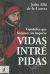 Portada de Vidas intrépidas : españoles que forjaron un imperio, de Julio ... [et al.] Albi de la Cuesta