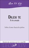 Dilexi te (S. Pablo)