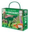 Dinosaures