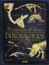 Dinosaurios y otros animales prehistóricos