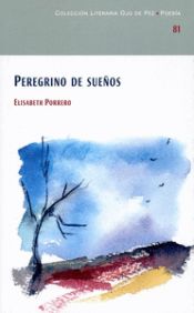 Portada de Peregrino de sueños