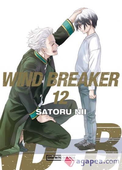 Wind Breaker 12