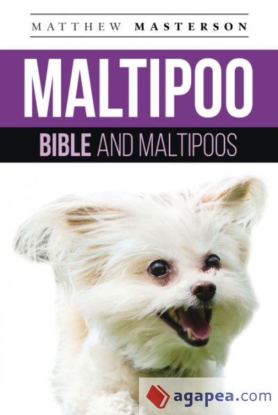 Maltipoo Bible And Maltipoos