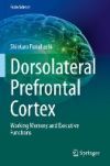 Dorsolateral Prefrontal Cortex
