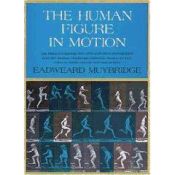 Portada de Human Figure in Motion