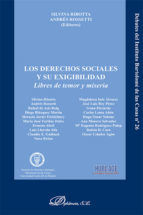 Portada de Los derechos sociales y su exigibilidad. Libres de temor y miseria (Ebook)