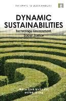Portada de Dynamic Sustainabilities: Technology, Environment, Social Justice