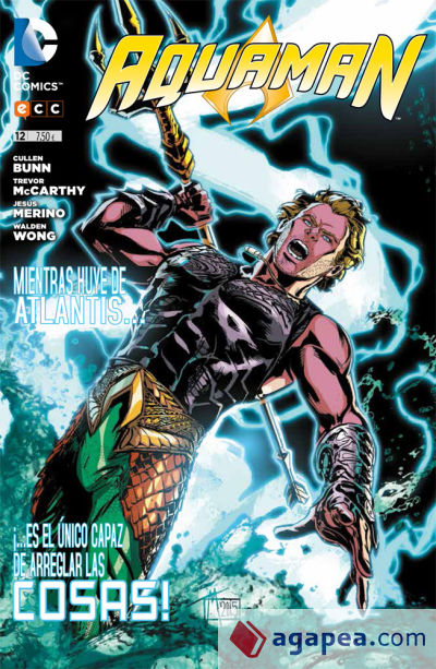 Aquaman 12