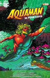 Portada de Aquaman de Peter David vol. 02 de 3