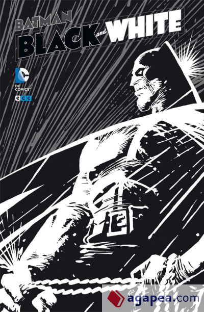 Batman: Black and White 02