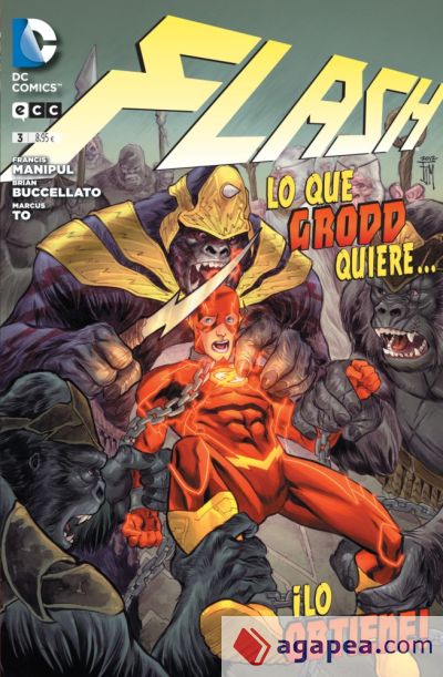 Flash núm. 03 (2a edición)