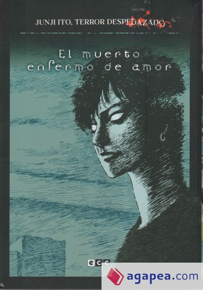 Junji Ito, Terror despedazado núm. 14 de 28 - El muerto enfermo de amor