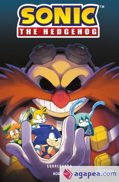 Sonic The Hedgehog: Sobrecarga