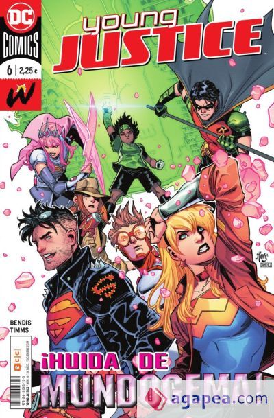 Young Justice n&uacute;m. 06